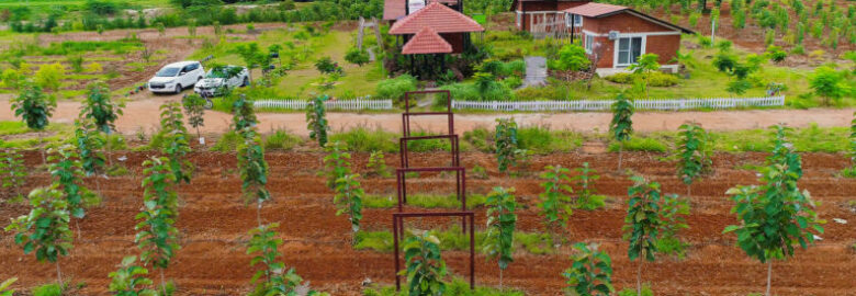 Farm Land For Sale in Bangalore | Buy Agriculture Land | Hosachiguru