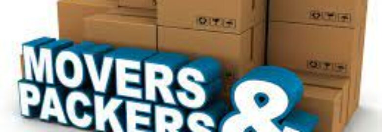 Best Packers and Movers in Vadodara – Euro Movers and Packers in Vadodara