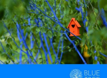 Blue Tree HR Solutions